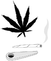 picture of cannabis / marijuana
