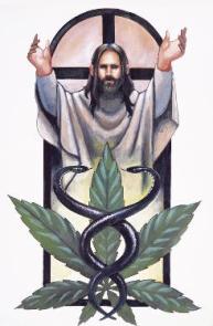 picture of Jesus Christ and healing herbs