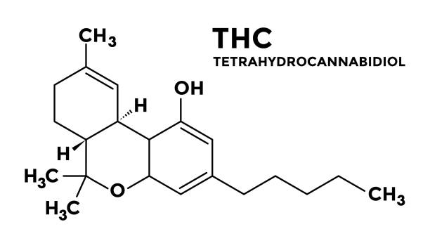 Cannabis and cannabinoids as conceived by ChatGPT