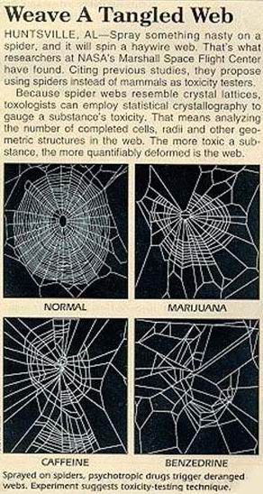 effect of marijuana and other drugs on spider webs