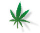 cannabis-marijuana.com: more
